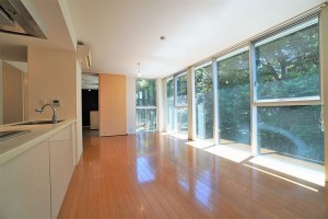 目黒の森と暮らすリゾート感溢れるラグジュアリーなデザイン空間【賃貸/ペット可/目黒区/～50万/90㎡以上】※先行入居申し込みが入っています