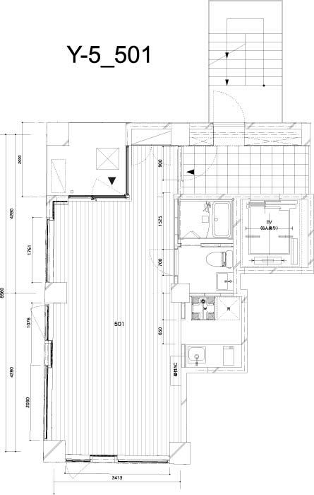 Y5_501_p