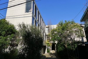 神泉,美しい緑のアプローチのデザイナーズメゾネット【賃貸/SOHO可/オフィス可/ペット(猫)可】※お申込み中になります