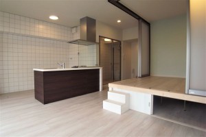 神楽坂、オープンキッチンと小上がりのお部屋のある駅近デザイナーズ【賃貸/ペット可】