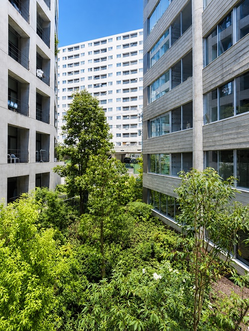 grove302_5