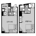 DENFLAT南平台(デンフラット南平台)間取り(間取) DENFLAT南平台(デンフラット南平台)間取り(間取)