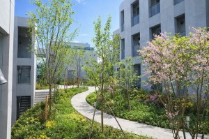 緑の中庭を囲む、建築家・長谷川逸子が描いた集合住宅【賃貸/大田区/～24万/45㎡以上】