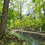 外観と等々力渓谷(外観) 外観と等々力渓谷(外観)