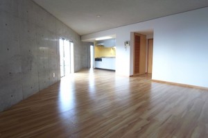 コスパの良い広い三角リビングのあるデザイナーズ空間【賃貸/SOHO可/大田区/～16万/60㎡以上】