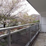 桜の眺望