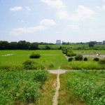 建物前の多摩川緑地