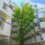 外観(外観) 外観(外観)