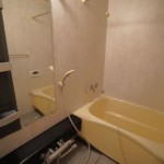 現在のバスルーム(風呂) 現在のバスルーム(風呂)